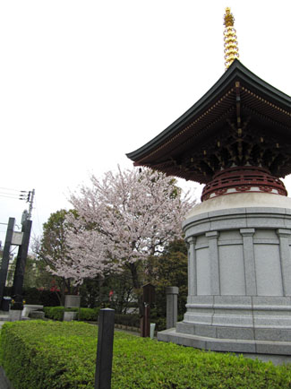 Senso-ji surroundings
