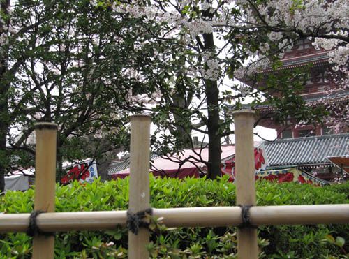 Senso-ji surroundings