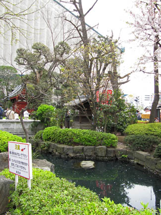 Senso-ji surroundings