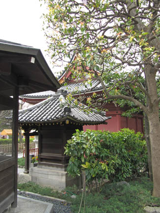 Senso-ji surroundings