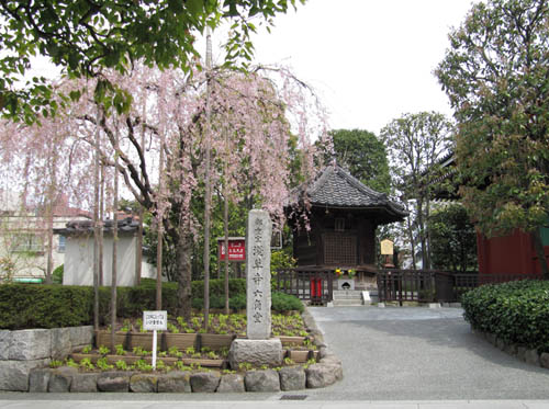 Senso-ji surroundings