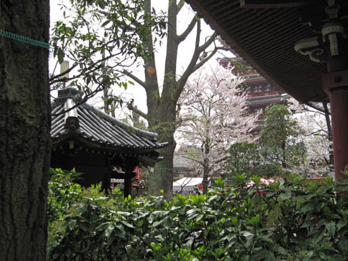 Senso-ji surroundings
