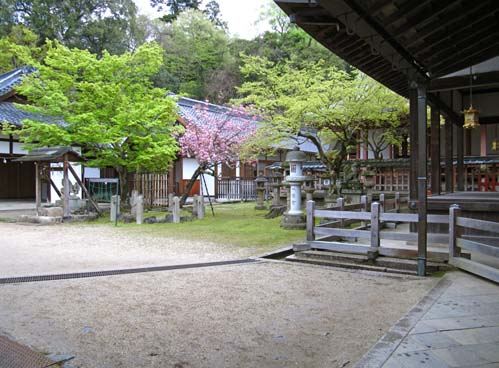 Nara