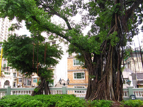 St Lawrence's Church